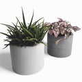 Kvety | Blumentopf Ø=12cm aus Beton