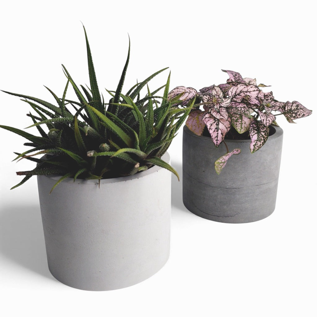 Kvety | Blumentopf Ø=12cm aus Beton