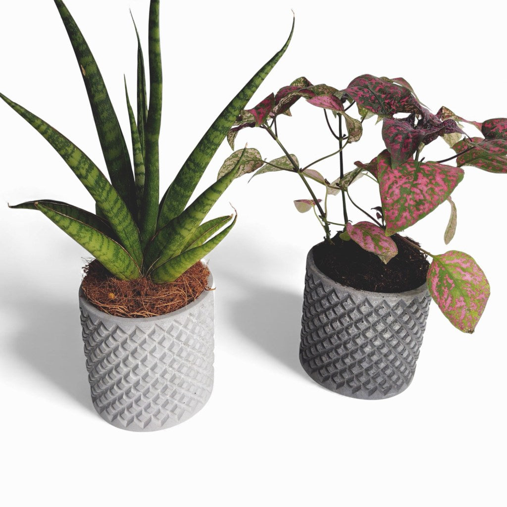 Tuska | Blumentopf Ø=8cm aus Beton