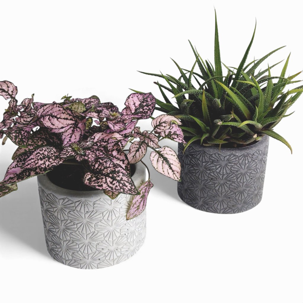 Tikko | Blumentopf Ø=10cm aus Beton