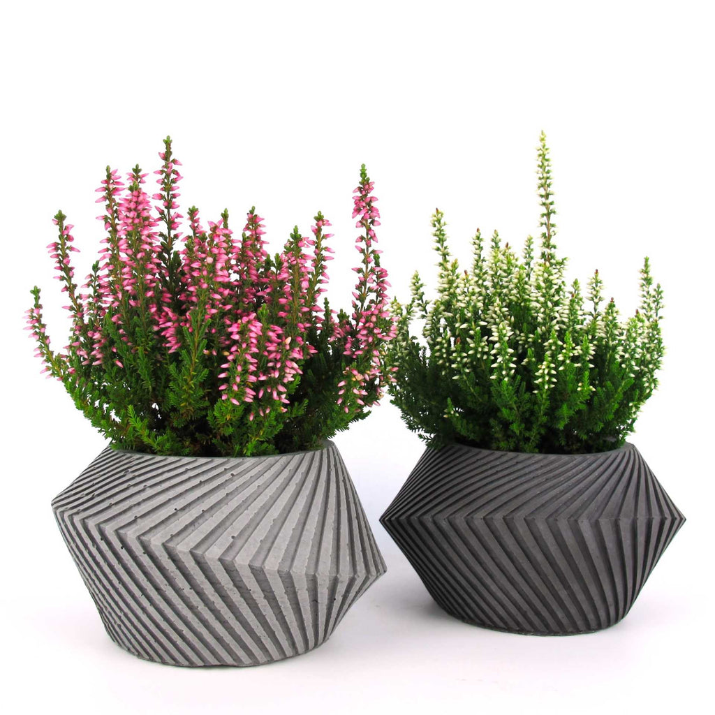 Keeris | Pflanzgefäß aus Beton