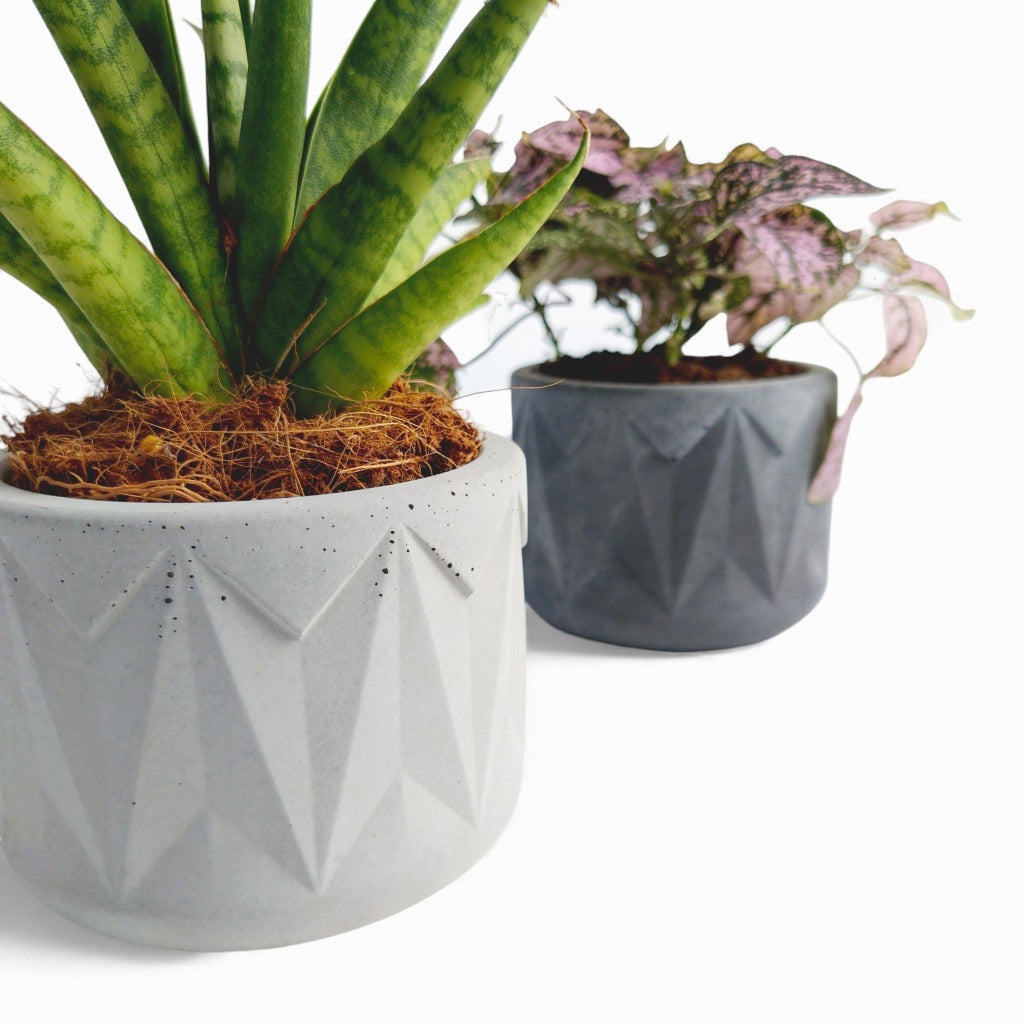 Vazona | Blumentopf Ø=10cm aus Beton