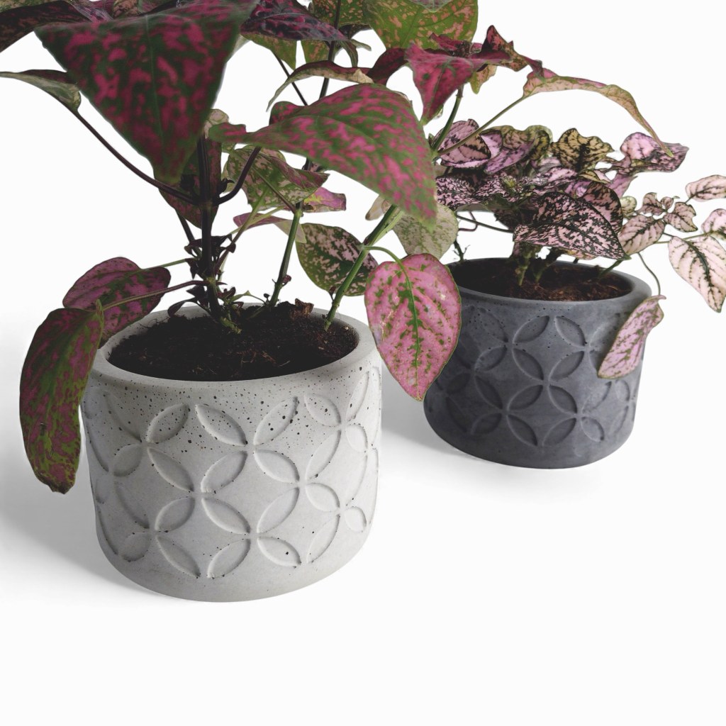 Olla | Blumentopf Ø=10cm aus Beton