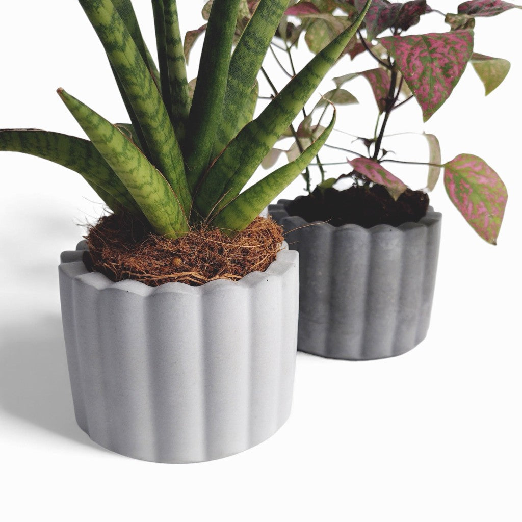 Zarka | Blumentopf Ø=10cm aus Beton