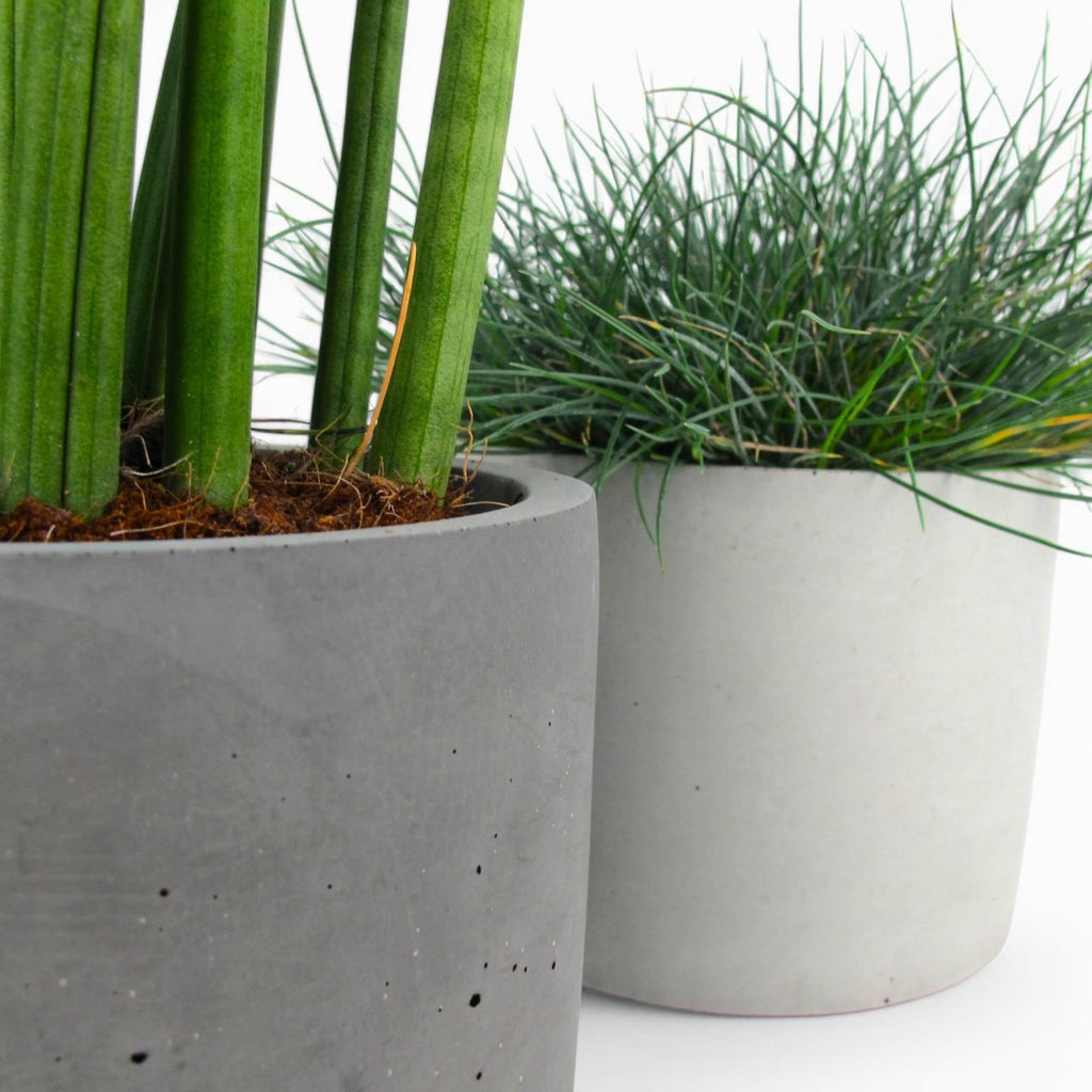 Maceta | Blumentopf Ø=15cm aus Beton