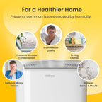 Cosi Home 12L/Day Dehumidifier